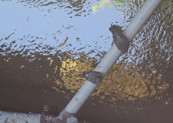 Bed & Breakfast La Porte Bleue