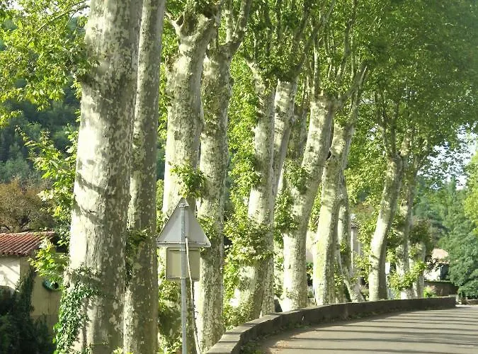 La Porte Bleue Bed & Breakfast Saint-Antonin